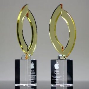 Crystal Award Trophies - CGT020